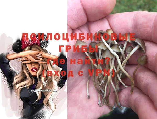 тгк Иноземцево