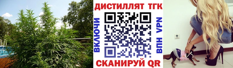 Дистиллят ТГК THC oil  закладка  Власиха 