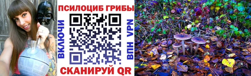 Галлюциногенные грибы Magic Shrooms  как найти закладки  Власиха 